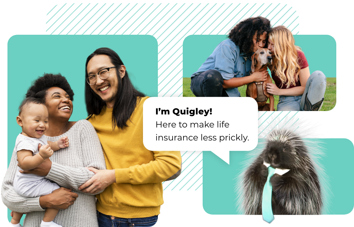 Quigley here to make life insurance less prickly