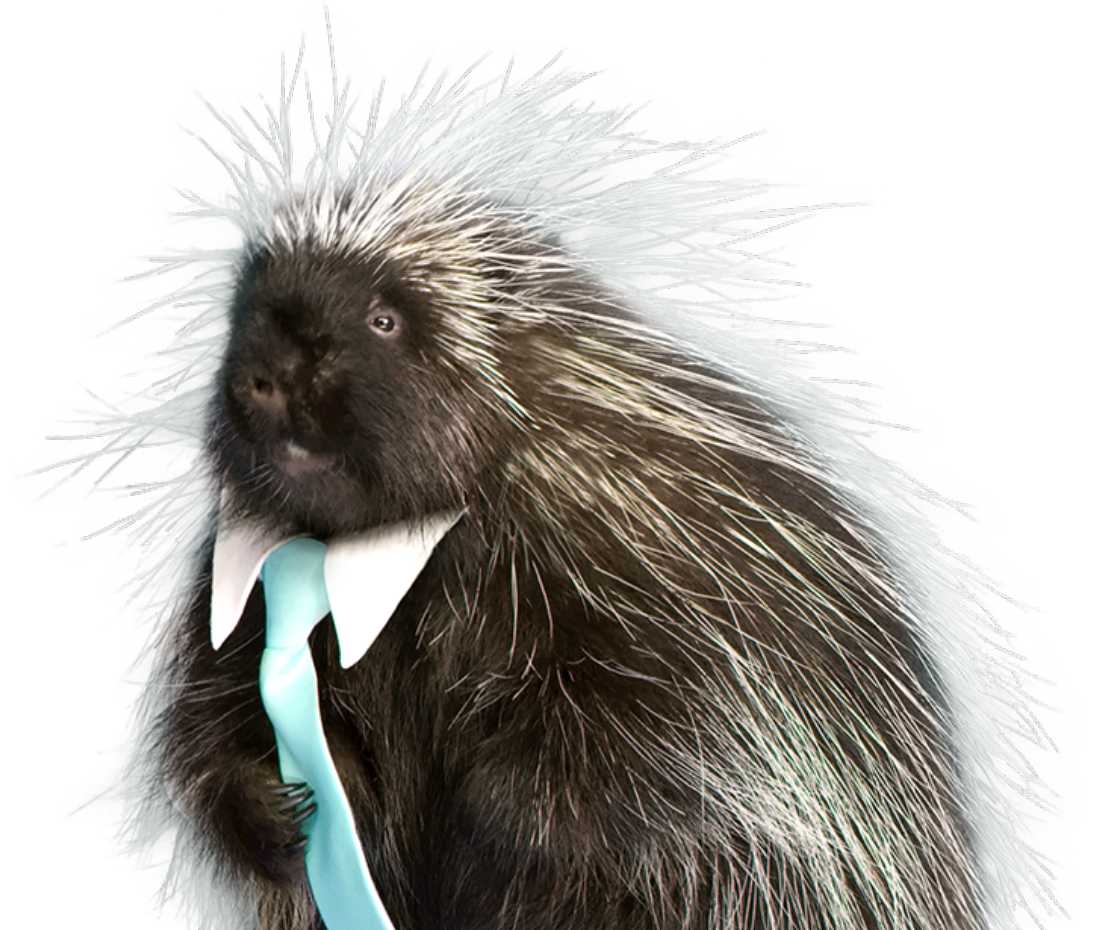 Quility Insurance porcupine mascot Quigley