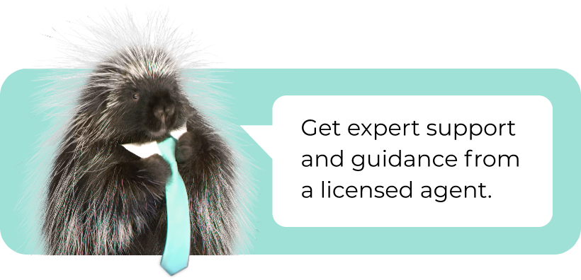 Quility mascot Quigley says "get expert support and guidance from a licensed agent"